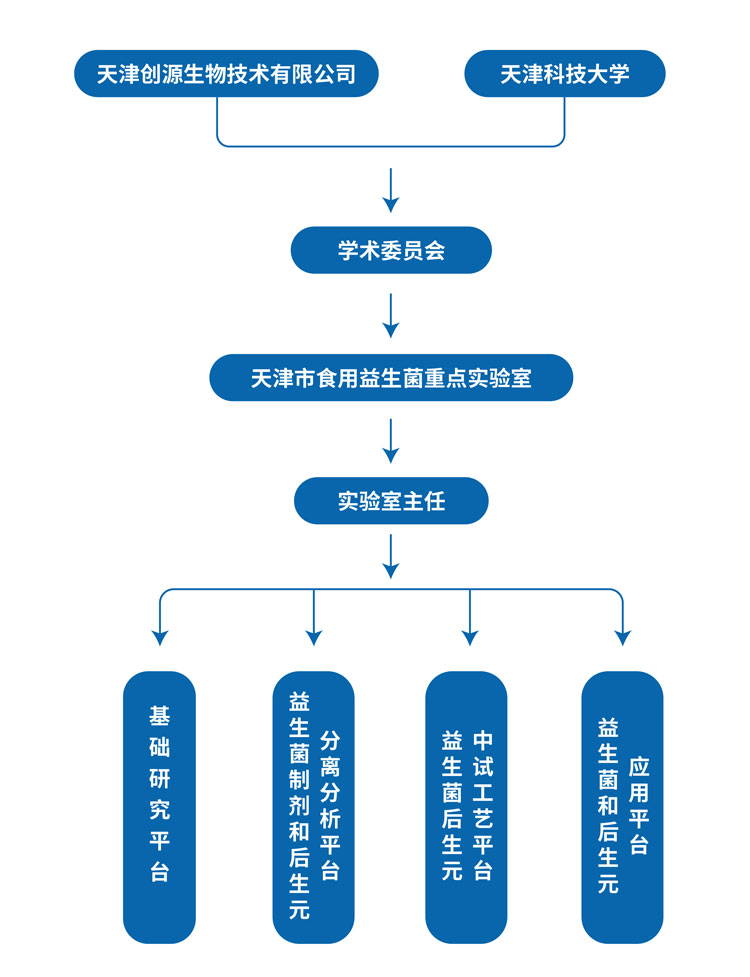 组织机构.jpg